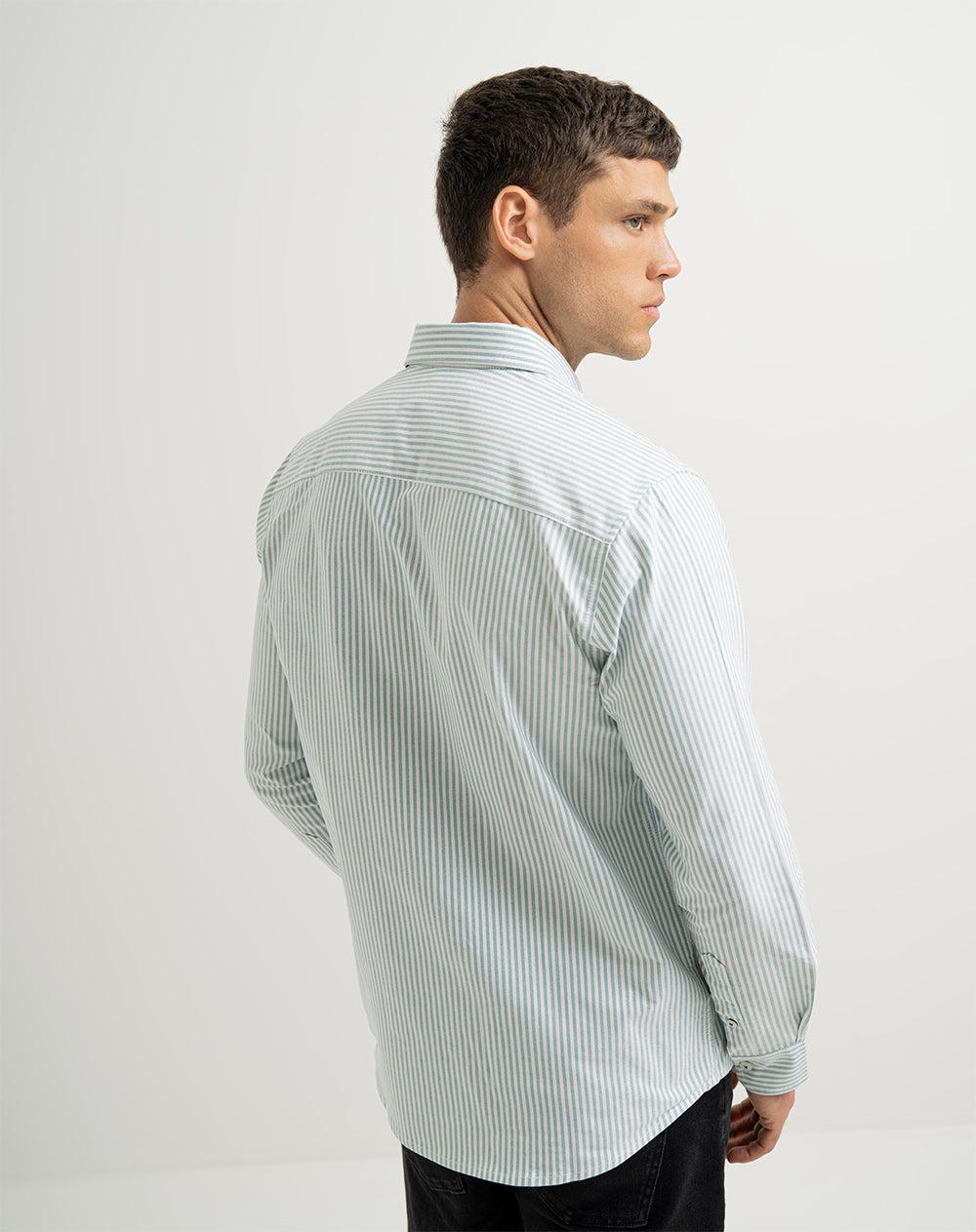 Camisa manga larga regular algodón oxford verde hombre