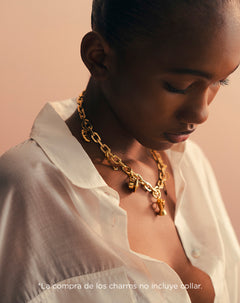 Charms set x6unds baño en oro 18K Ana Beliza