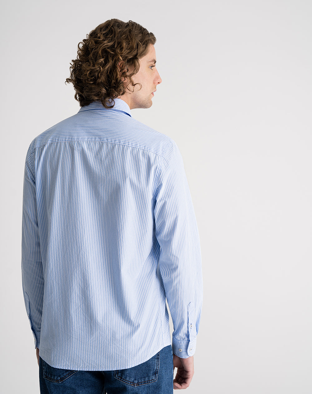 Camisa manga larga regular algodón azul rayas hombre