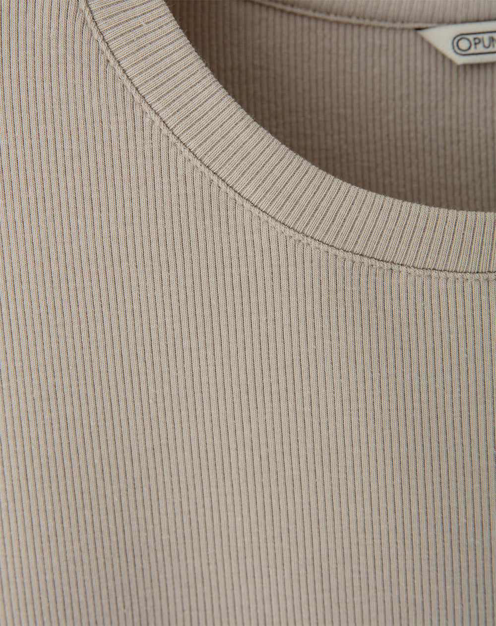 Camiseta semi ajustada algodón habana mujer