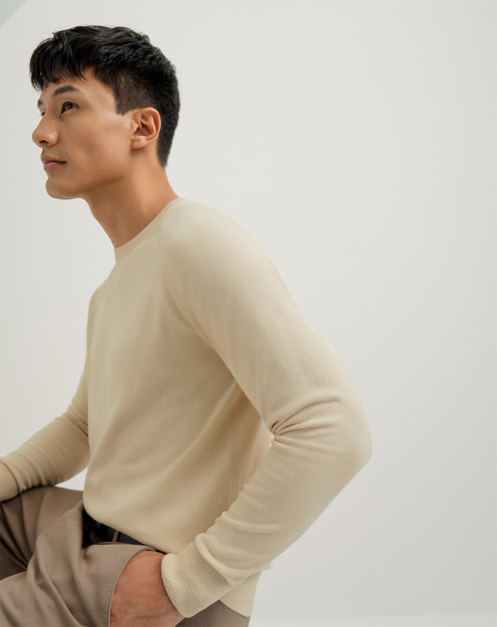 Suéter regular tejido de punto algodón habano hombre