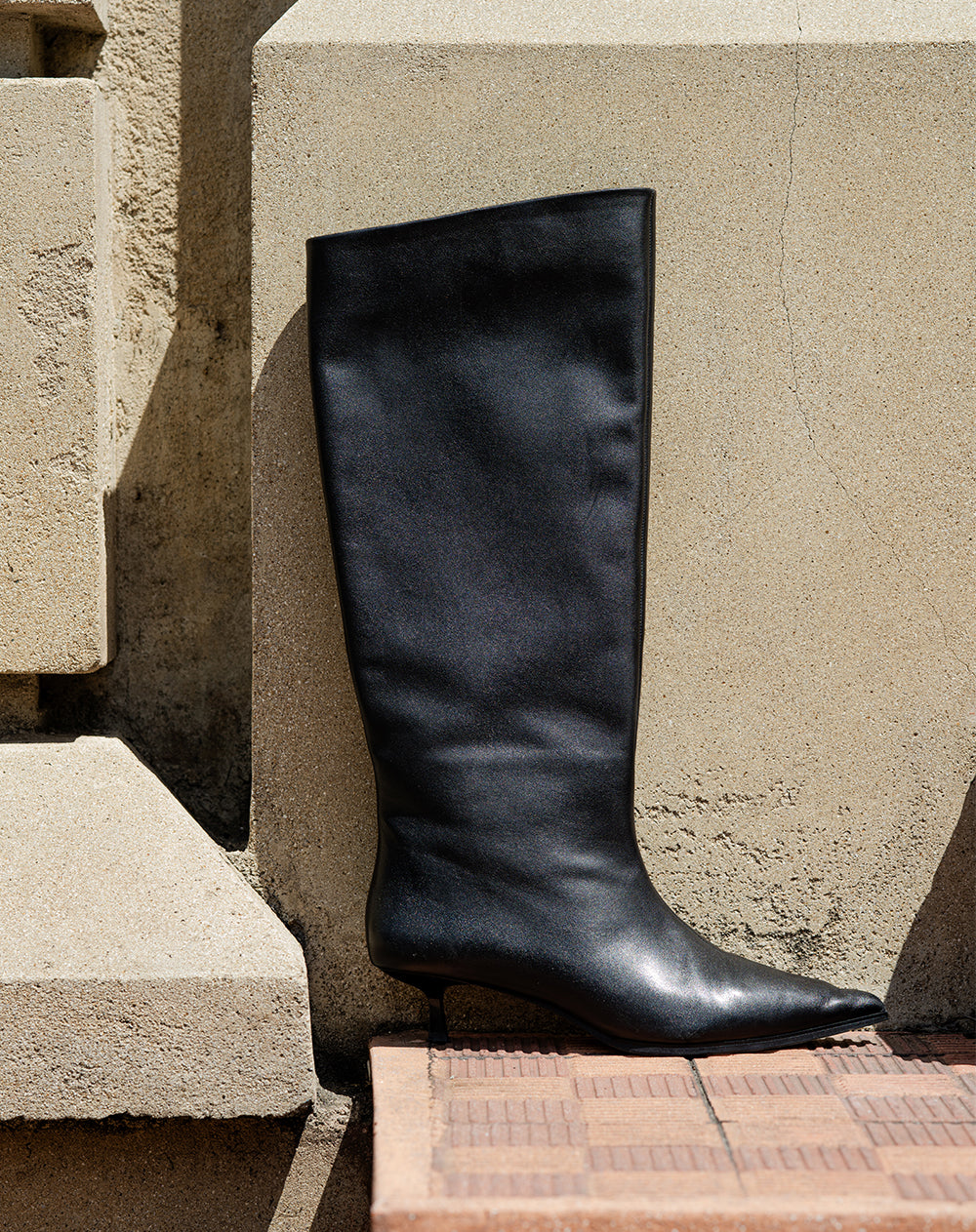 Botas caña alta cuero negro mujer