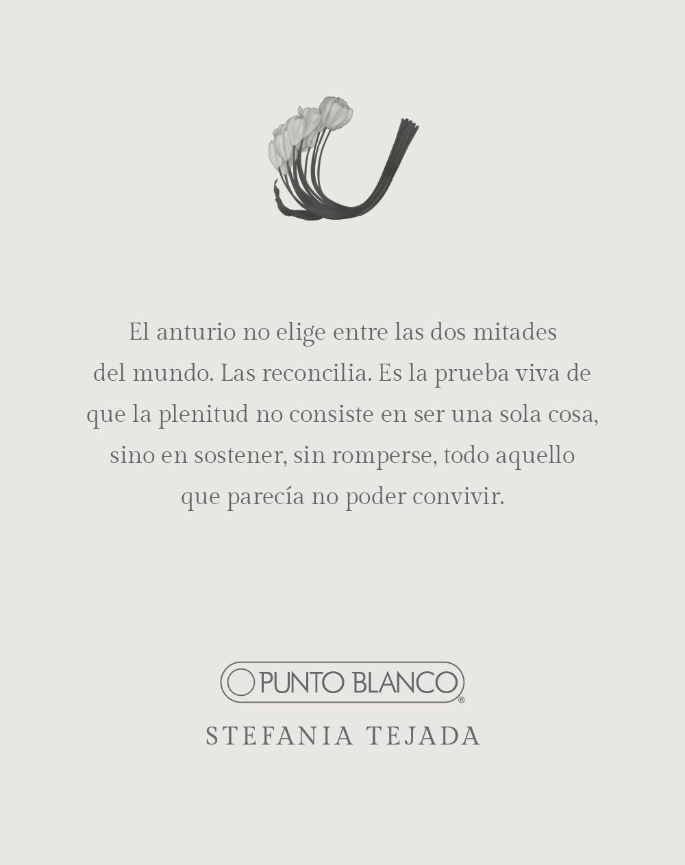Prendedor plateado Stefania Tejada