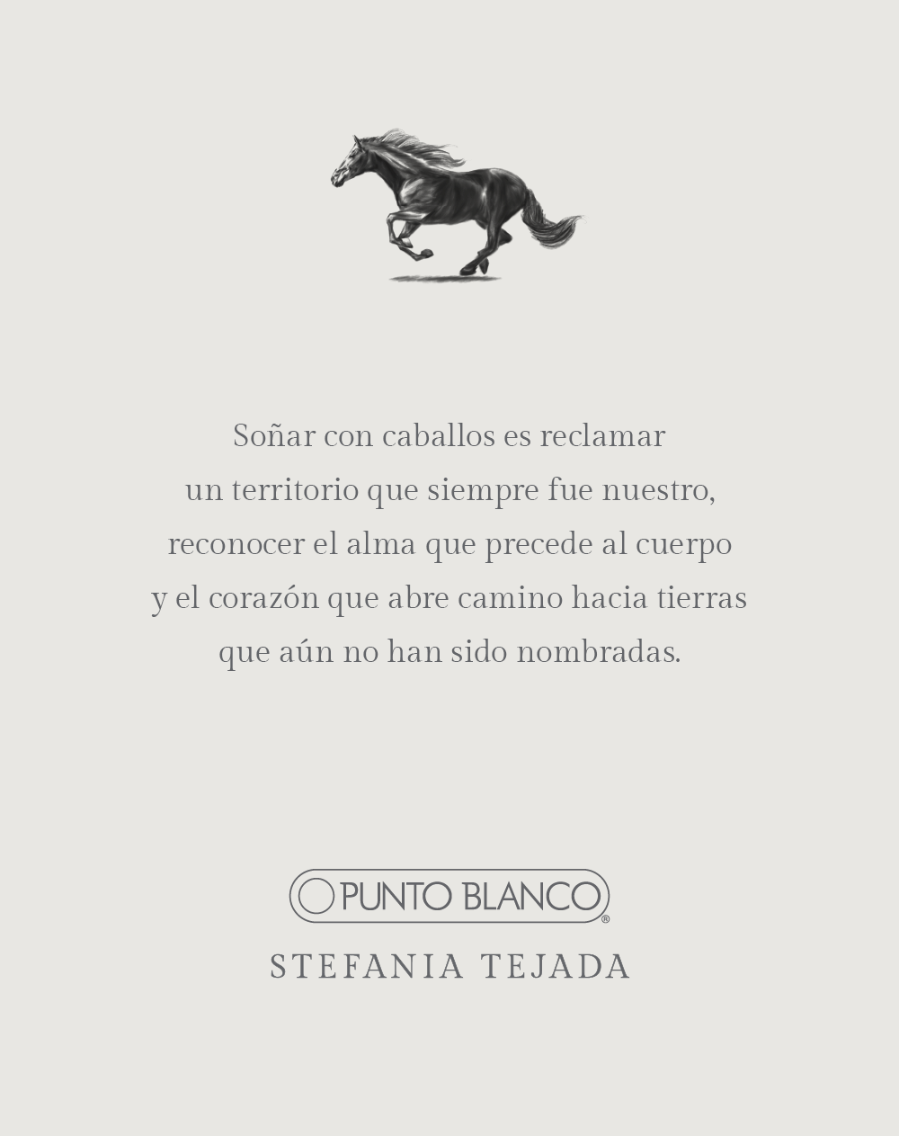 Prendedor plateado Stefania Tejada