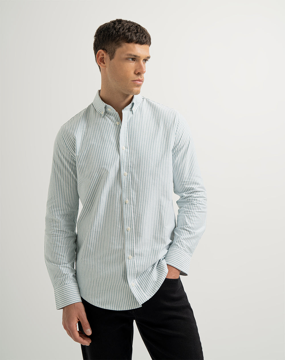 Camisa manga larga regular algodón oxford verde hombre