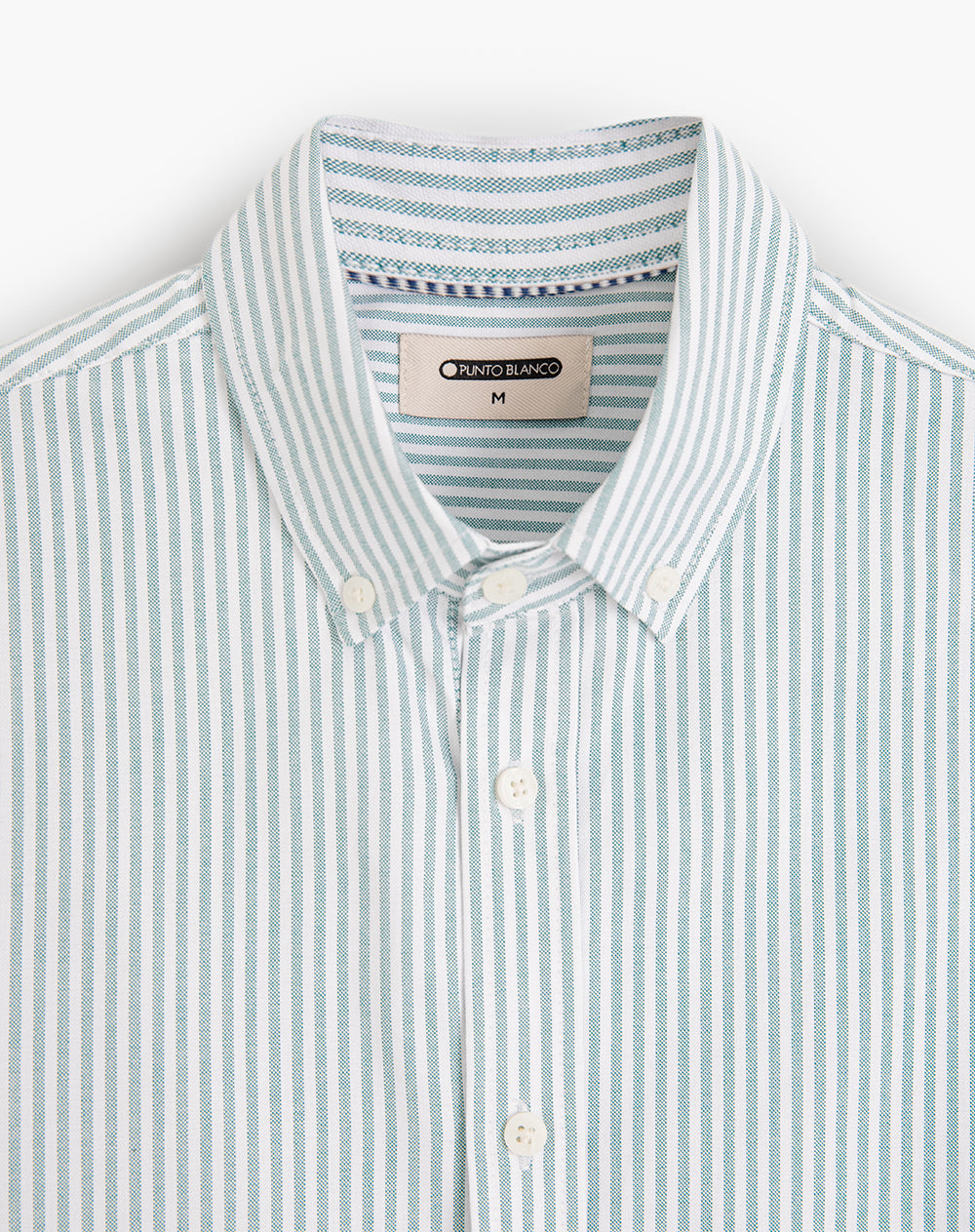 Camisa manga larga regular algodón oxford verde hombre