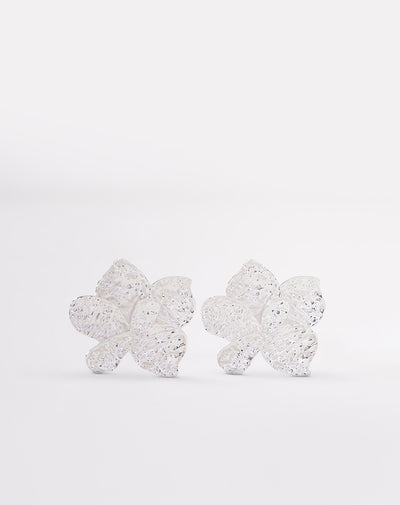 Aretes plateado