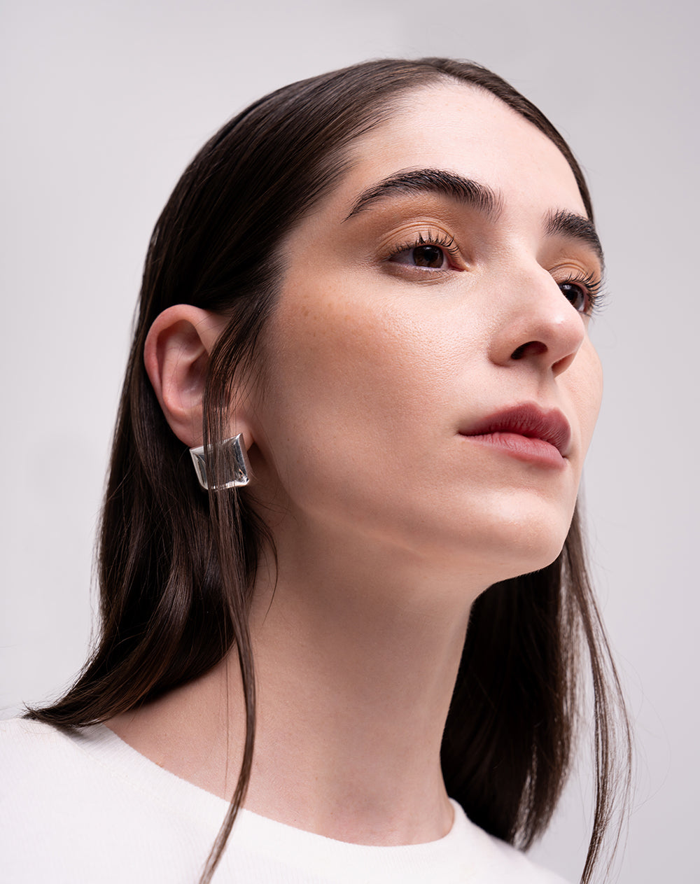 Aretes plateados